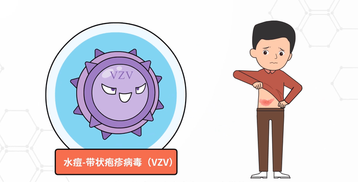 预防"蛇缠腰"的疫苗开约啦!南昌人抓紧!|新冠肺炎_新浪新闻
