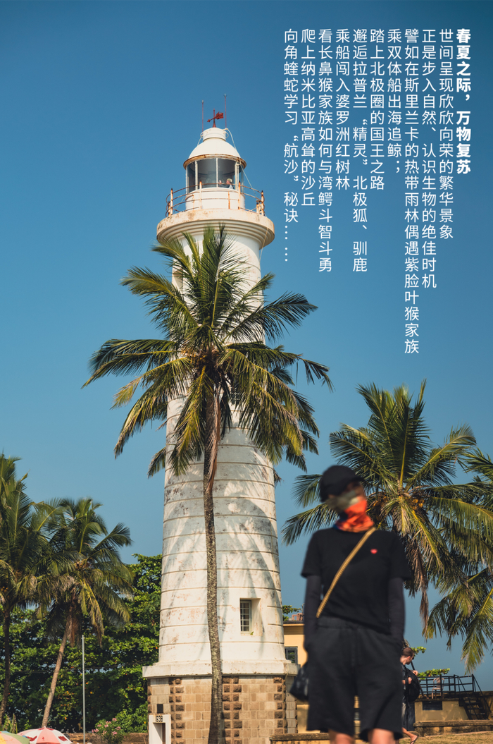 活动招募 | 2024年自然探索路线天花板|博物|自然|摄影师_新浪新闻