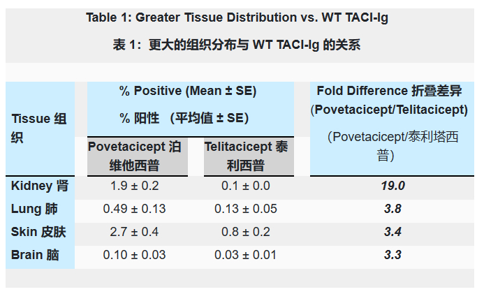 另外,从povetacicept药力分布数据可以看出,povetacicept在肾脏的分布