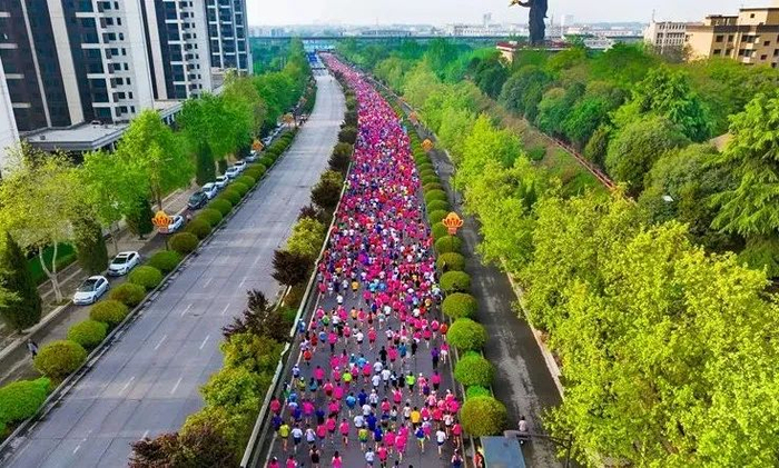 杨马十年 闪耀绽放|杨凌|马拉松赛|体育局_新浪新闻