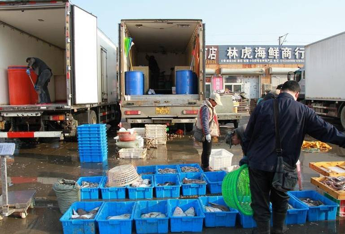 春鲜尝不够烟台海鲜市场越来越热闹