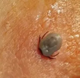 虞聪拍下的照片