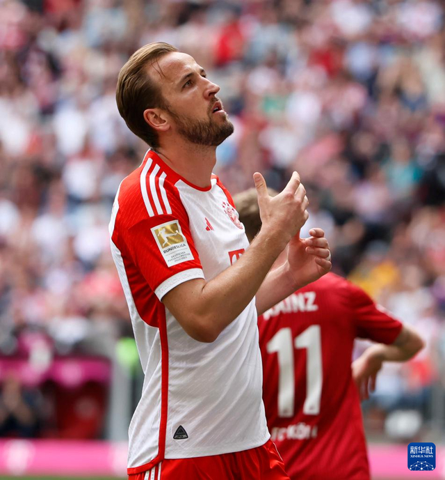 德甲拜仁胜科隆