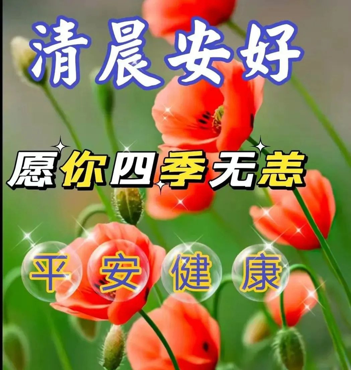 2024年4月15日周一早安今日最新早上好祝福语图片大全,2024新版早上好