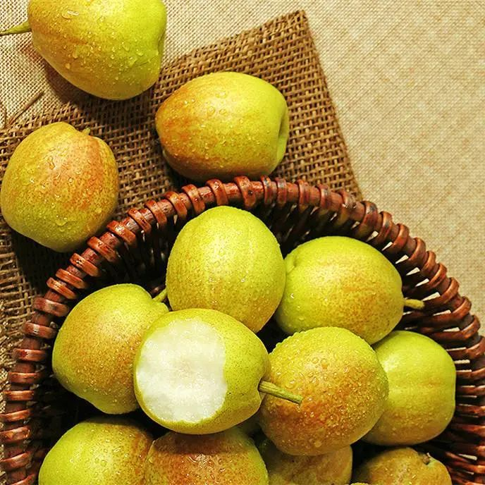 梨中珍品,享誉世界 | 新疆最有名水果之一,库尔勒香梨新鲜上市啦!