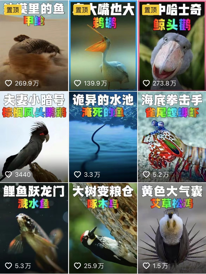 ▲抖音账号：大自然奇观。