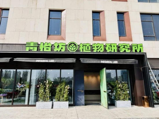 春日看展,云琅商街值得你驻足|青怡坊|商街|艺术展_新浪新闻