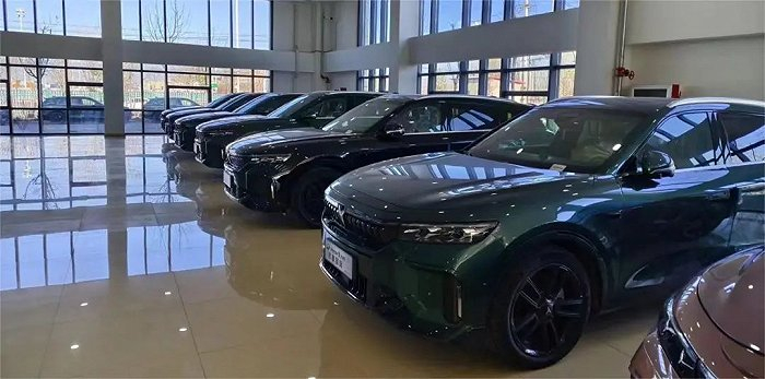 海外汽车展厅里停放的岚图汽车