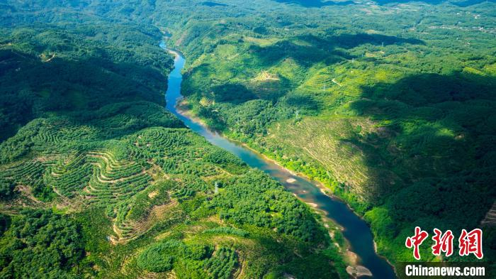 海南万泉河水生态体检报告出炉:总体为优|海南省_新浪新闻