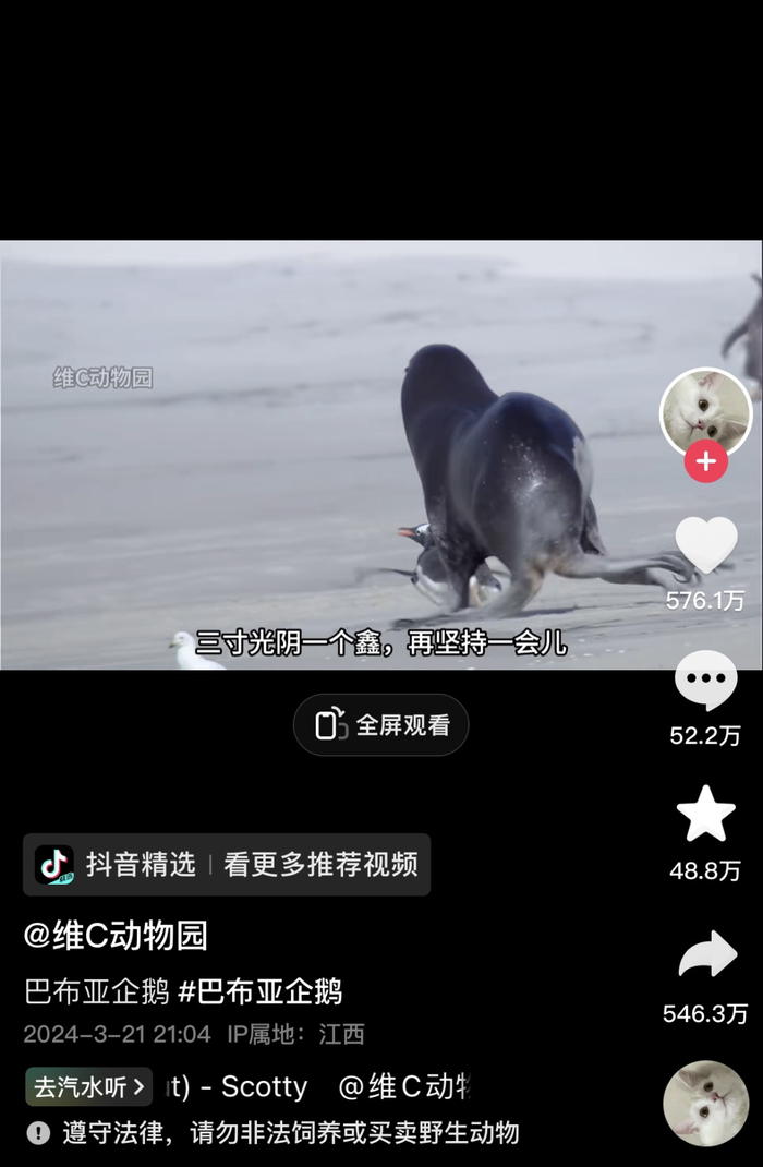 ▲“一寸光阴一寸金，三寸光阴一个鑫”。