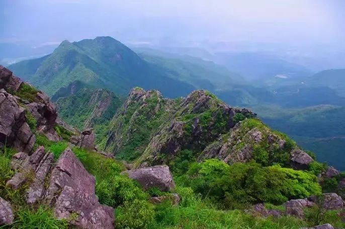 到连平县溪山镇看球赛!一起来打卡这些景点|连平_新浪新闻