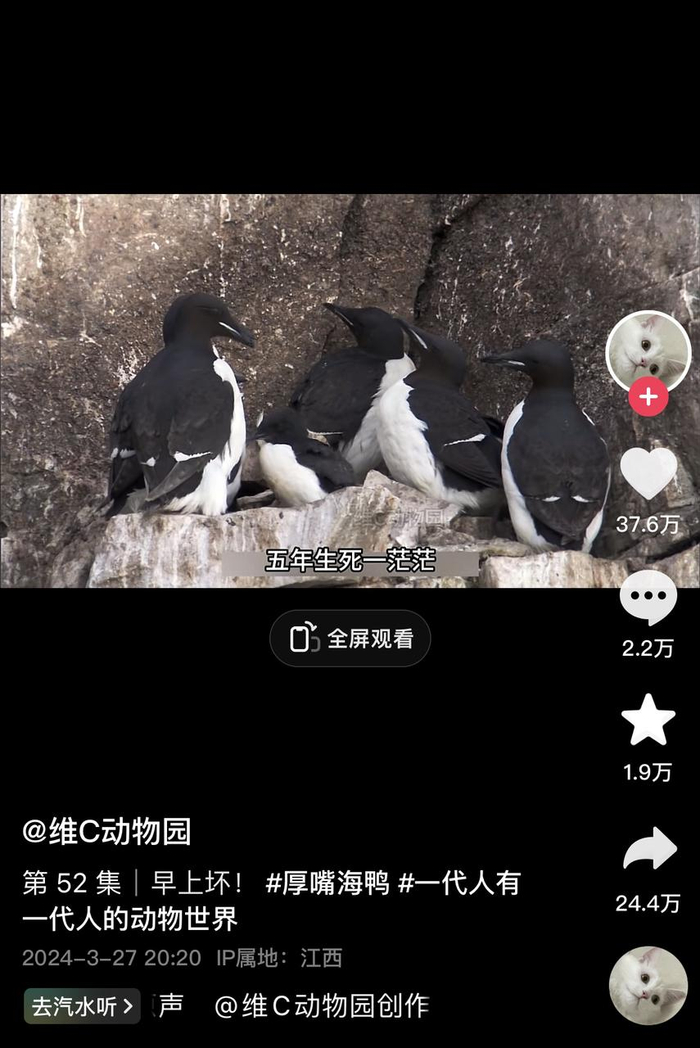 ▲“十年生死两茫茫，五年生死一茫茫”。