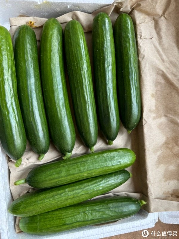 爽口酥脆的水果黄瓜__财经头条