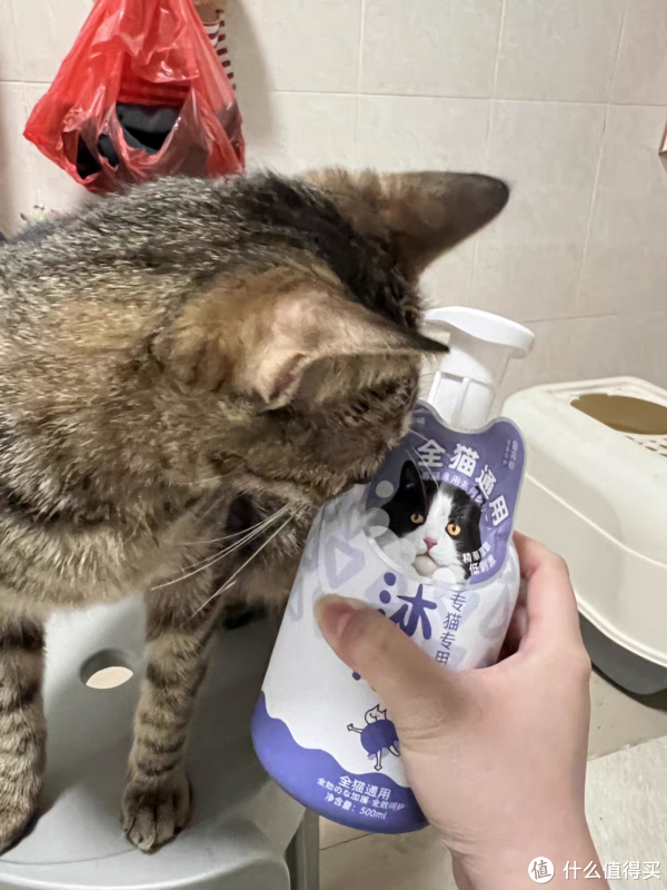 瞅瞅这爱洗澡的乡村小花猫