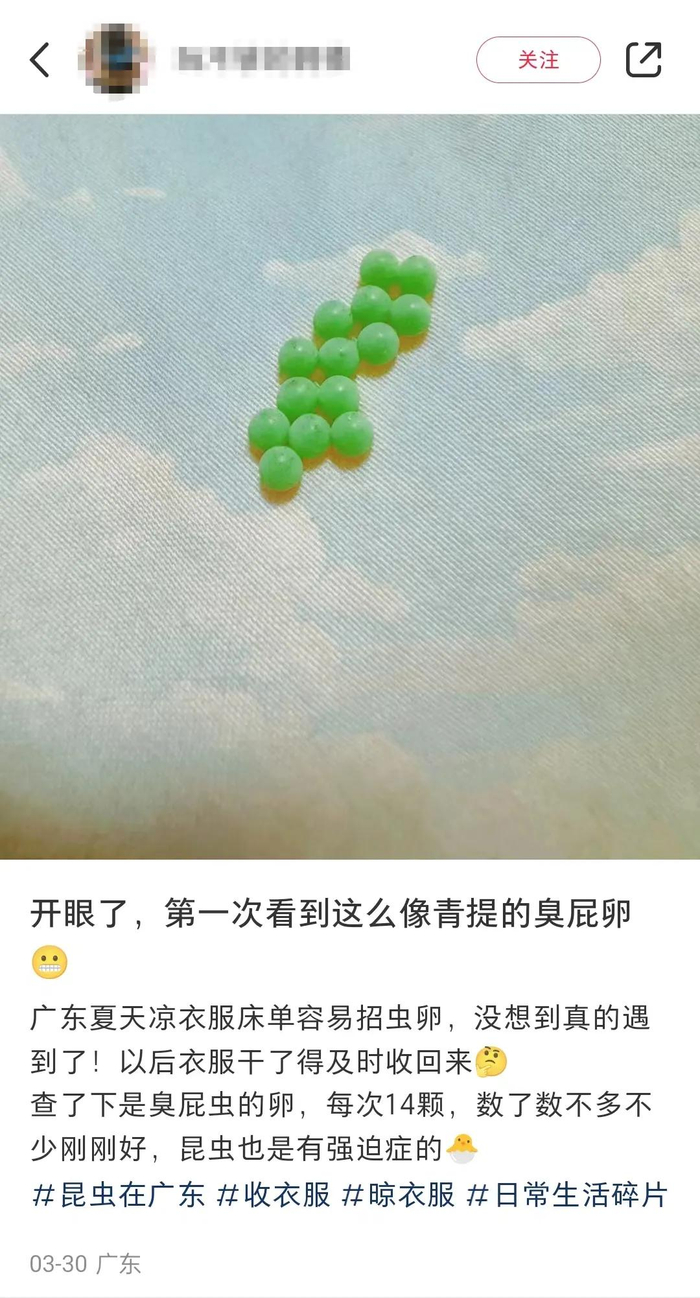 厦门已出现!快检查阳台衣服
