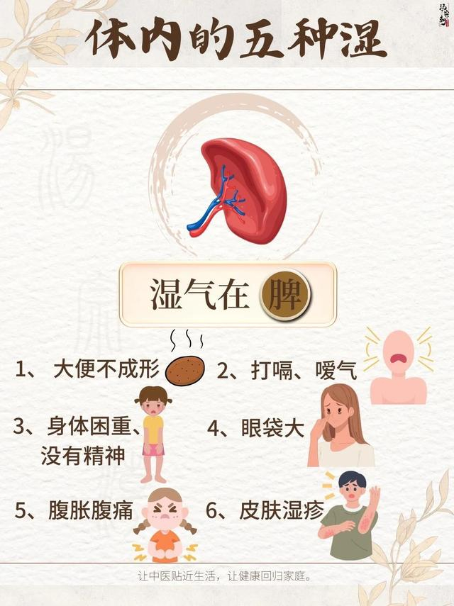 中医知识科普:看看你的湿气在哪里?
