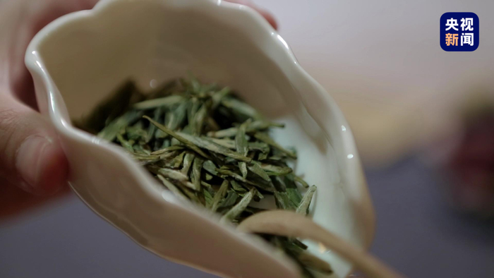 △扁形日照绿茶