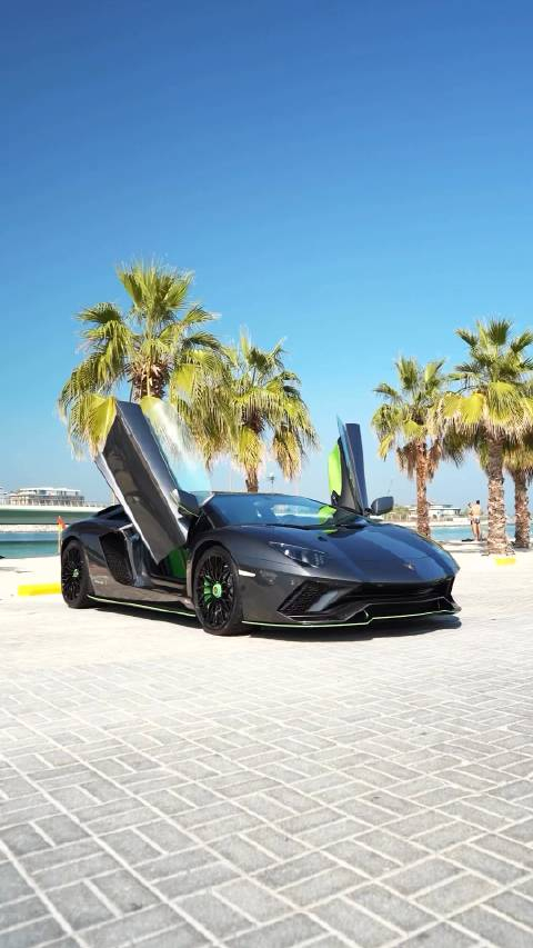 lamborghiniaventadorsps你还记得第一次坐大牛的时候么