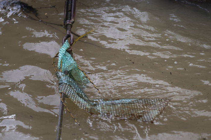 当地时间2024年2月14日，法国巴黎，塞纳河水域漂浮着塑料泡沫。