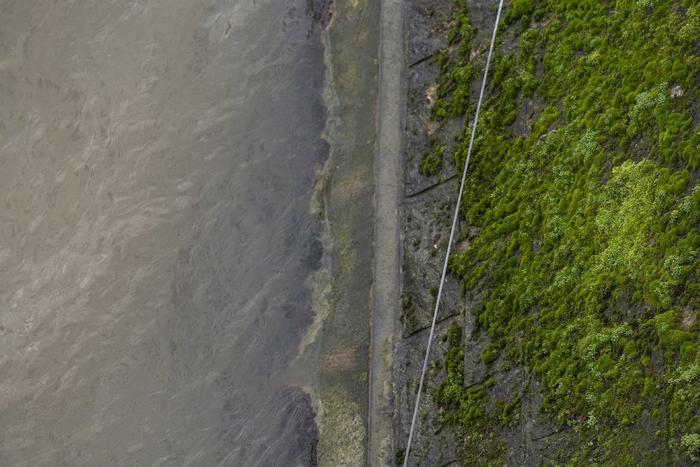 当地时间2024年2月14日，法国巴黎，塞纳河岸边的苔藓。