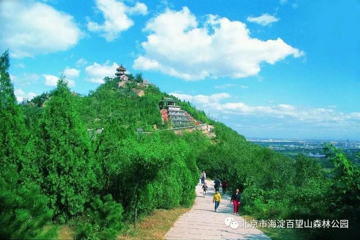 北京森林公园排名图片