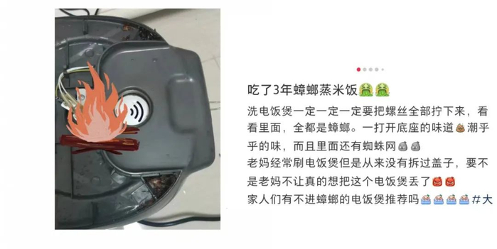 图片来源：小红书