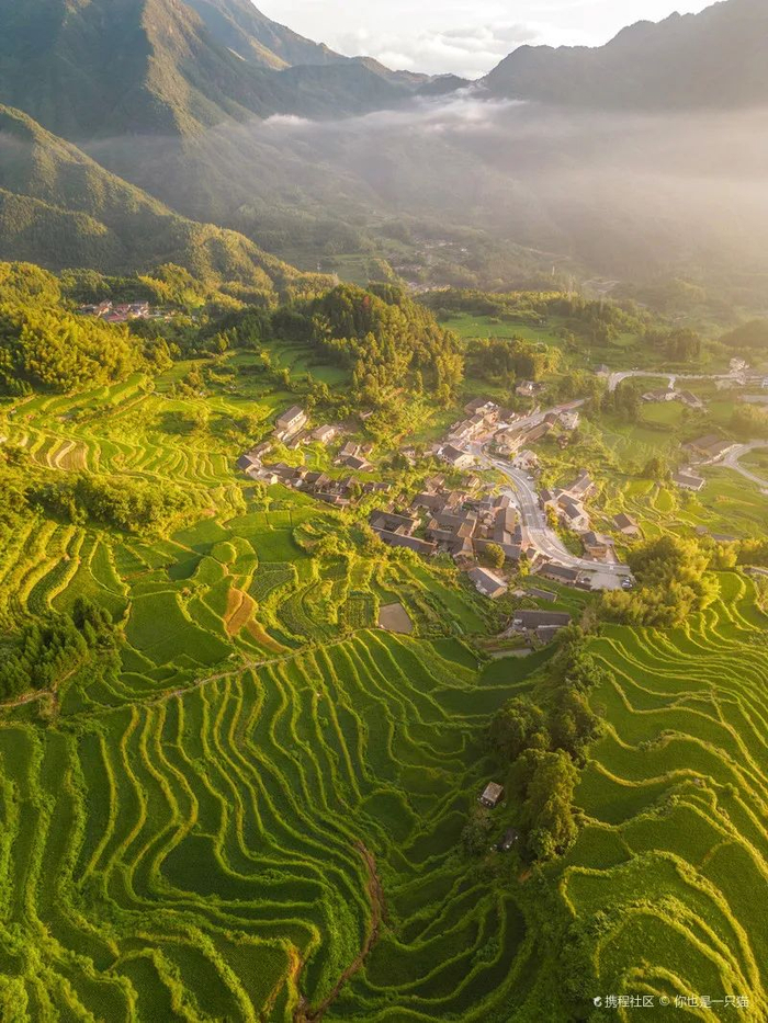 图|携程社区@你也是一只猫双童山松阳双童山,位于丽水松阳县以南2公里