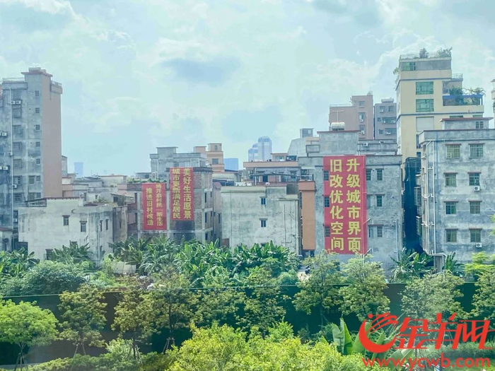 黄埔区房票安置试点项目将有序选择确定。羊城晚报记者 徐炜伦 摄