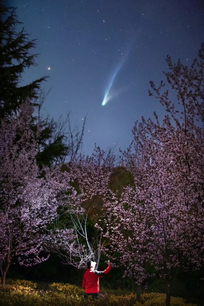星影| 一夜新雷震,繁枝拥万星|雷震|万星|银河_新浪新闻