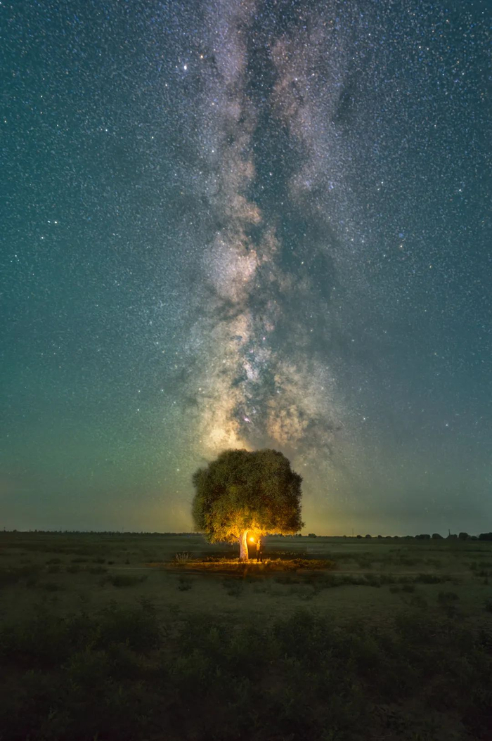 星影| 一夜新雷震,繁枝拥万星|雷震|万星|银河_新浪新闻