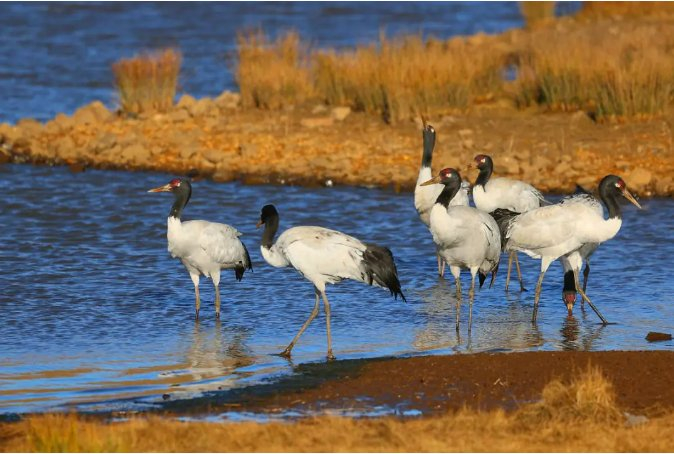 eye云南联合国前高官眼中的云南环境保护先锋地区发展引擎