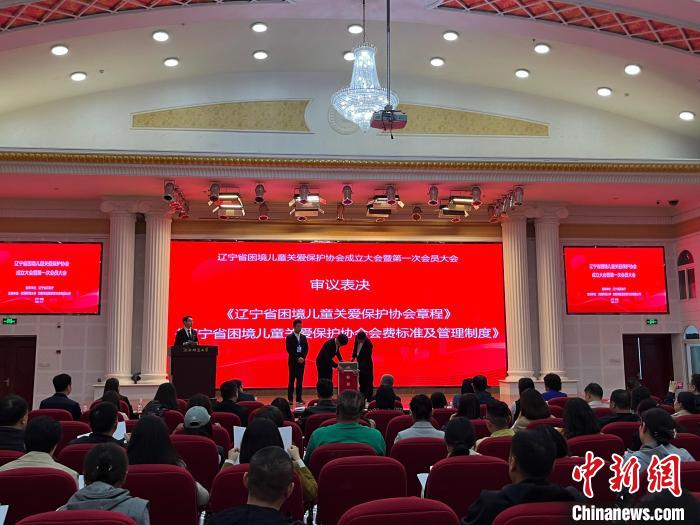 辽宁省困境儿童关爱保护协会在沈阳成立|辽宁省|沈阳_