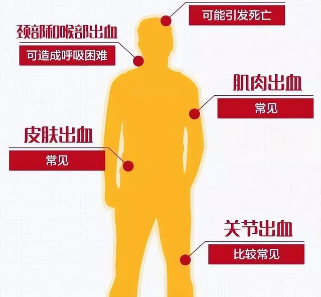 血友病携带者也能孕育健康宝宝,三代试管助力摆脱血友病"魔咒"
