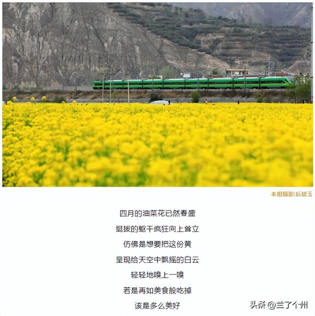 成县鸡峰山.武都区千坝牧场.
