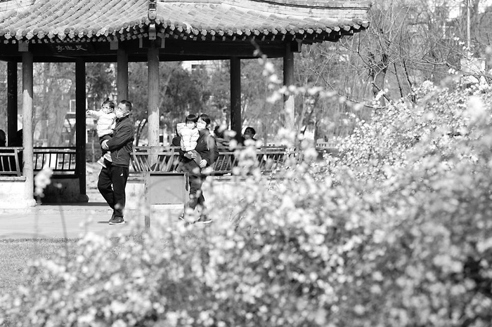 　　　　春季过敏性疾病多发，过敏体质的市民外出游玩时要注意做好必要的防护。　　本报记者 梁子栋 摄