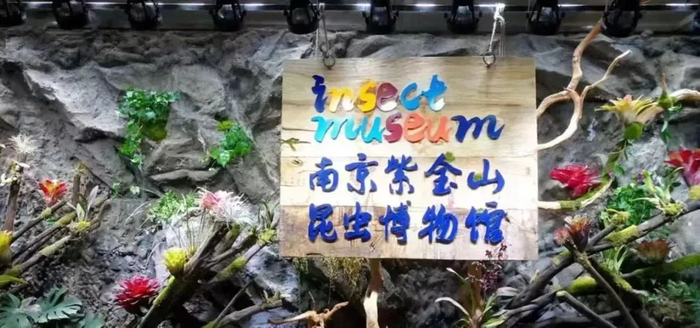拨动热爱学习的dna,在"小众宝藏"博物馆里边玩边学|南京市|恐龙