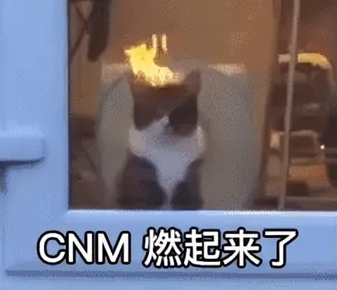 代工游戏太火爆被盯上,老外自己单干却做了个盗版