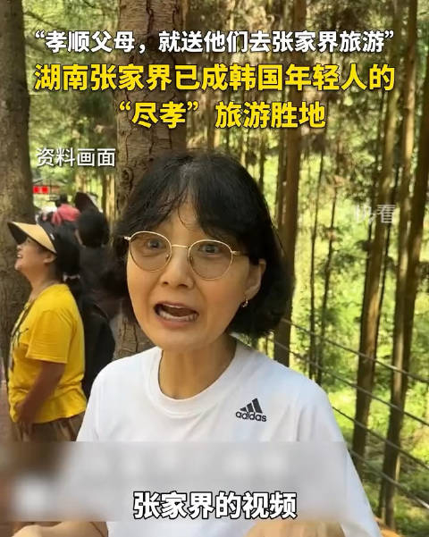 韩国人说张家界是一生必爬的山韩国人来张家界旅游必须做的事带上父母