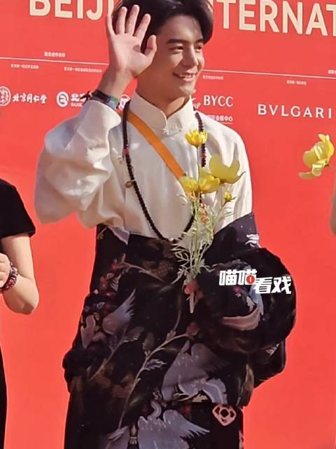 丁真珍珠理塘丁真与永不失联的爱剧组一同亮相第14届红毯