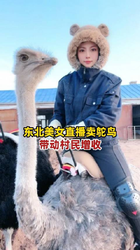 东北美女直播卖鸵鸟带动村民增收