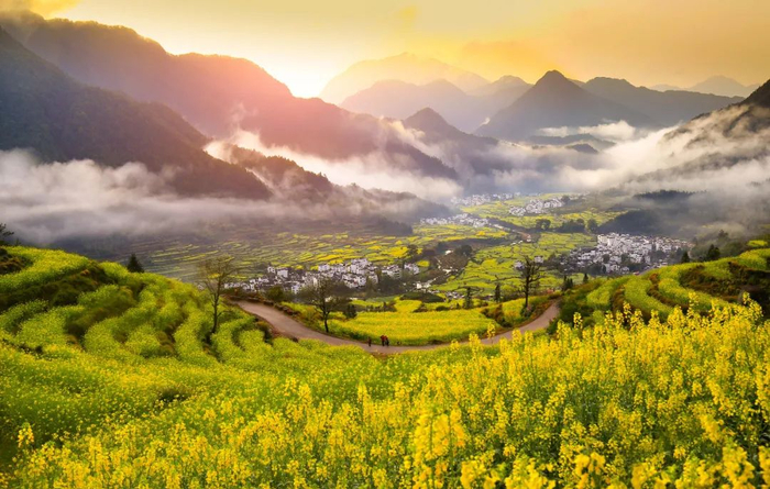 赛事报名2024婺源古驿道越野挑战赛报名