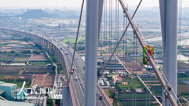 广东广州:黄埔大桥维护检修|广东广州|广州市|悬索桥_新浪新闻