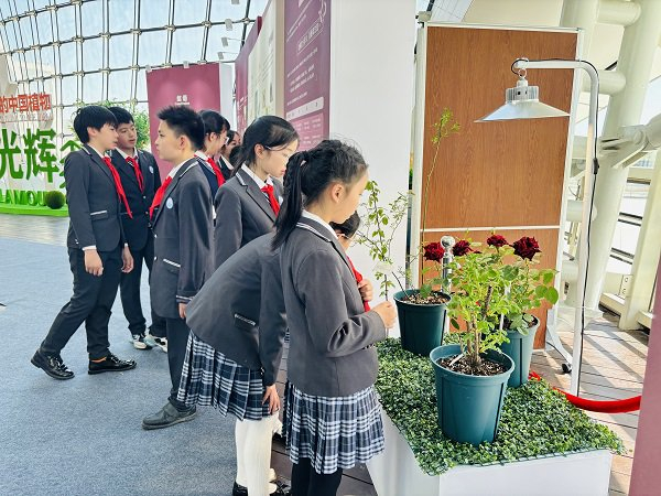 "草木生光辉:航向世界的中国植物"展在中国航海博物馆三楼风帆厅开幕