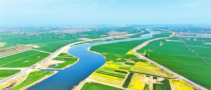 春光明媚,油菜花盛开,青青的麦苗铺到天边,贾鲁河扶沟段两岸景美如画.