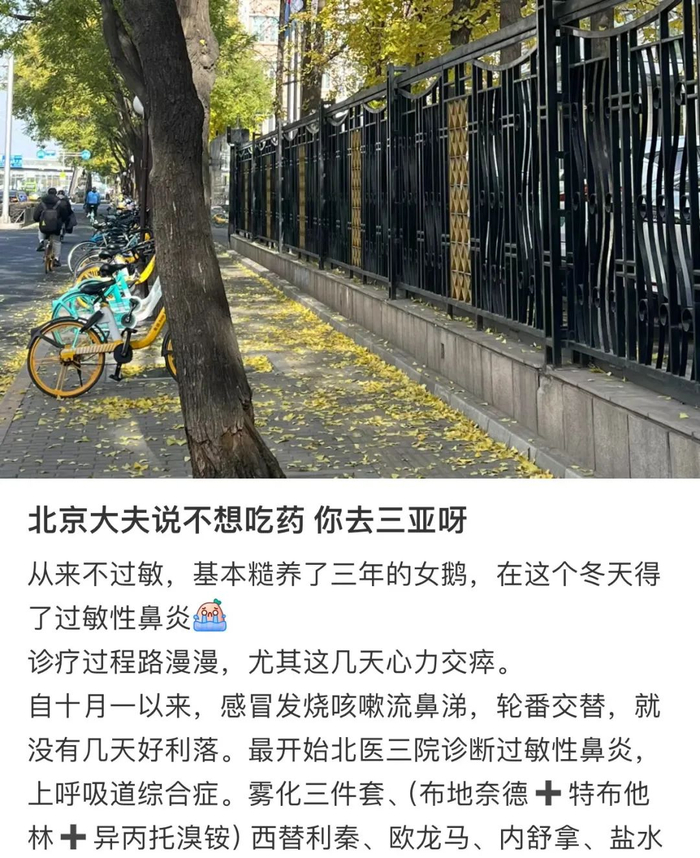 第一批柳絮过敏的人,已经住进医院了|柳絮|过敏|杨絮_新浪新闻