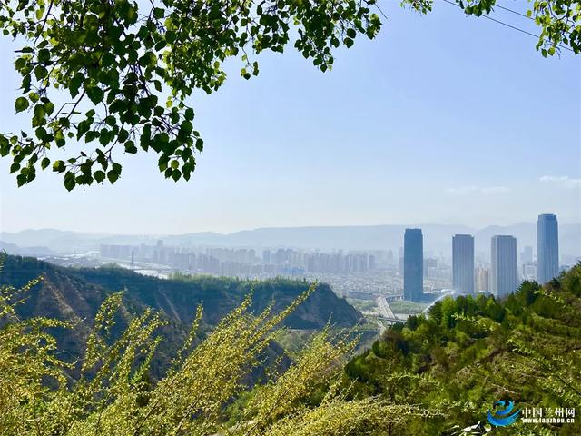 市民赏景消闲再添好去处兰州徐家山国家森林公园开园迎客