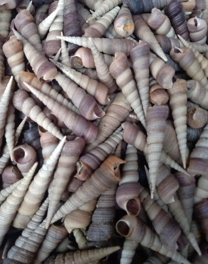 青岛人,注意了!接触10秒即可感染,近期开始高发,中疾控连发提醒!