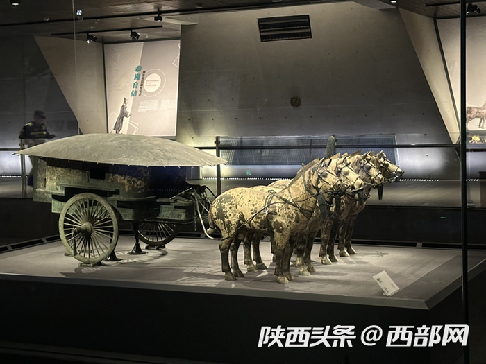 保养结束秦始皇的两辆豪车齐聚展出记者带你看保养细节