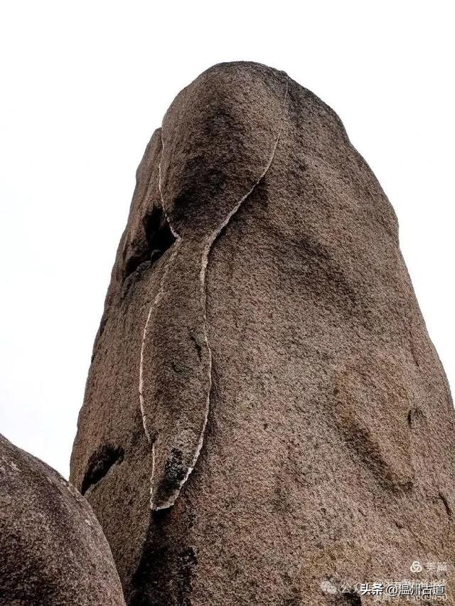 游心载道石趣藏真麒麟山一个奇石遍布的好地方