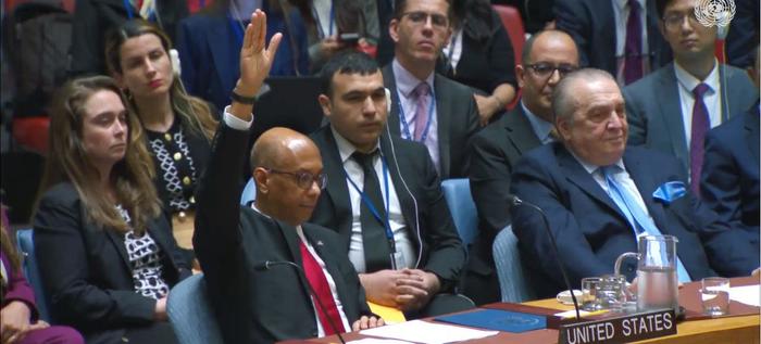 美国常驻联合国代表罗伯特·伍德在安理会投票反对。图自联合国